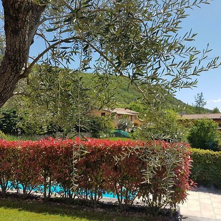 Casa Minerva Daire Albisano Dış mekan fotoğraf