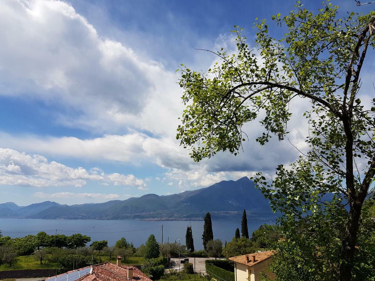 Casa Minerva Daire Albisano Dış mekan fotoğraf